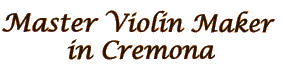 Master Violin Maker in Cremona