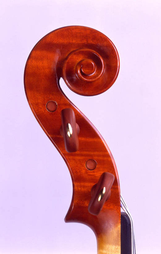 Testa violino 2001